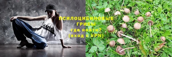соль курить ск Инсар